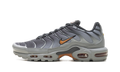 Air Max Plus "Light Smoke Grey Hot Curry" DM0032 037
