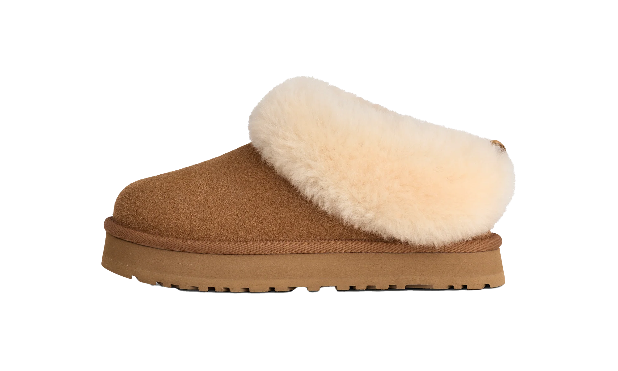 Tazzelle GS "Chestnut" 1171198K CHE
