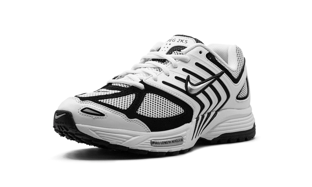 Air Pegasus 2K5 "White / Black" FJ1909 100