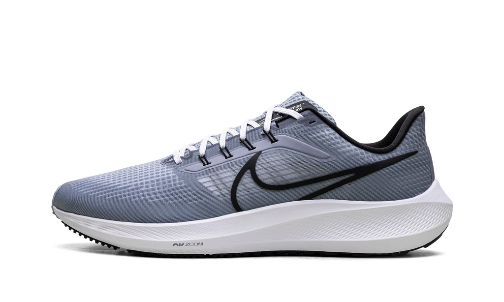 Air Zoom Pegasus 39 "Ashen Slate / Black" DH4071 401