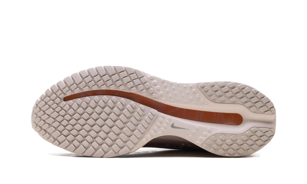 Pegasus Premium WMNS "Metallic Rose Gold" HQ2593 603