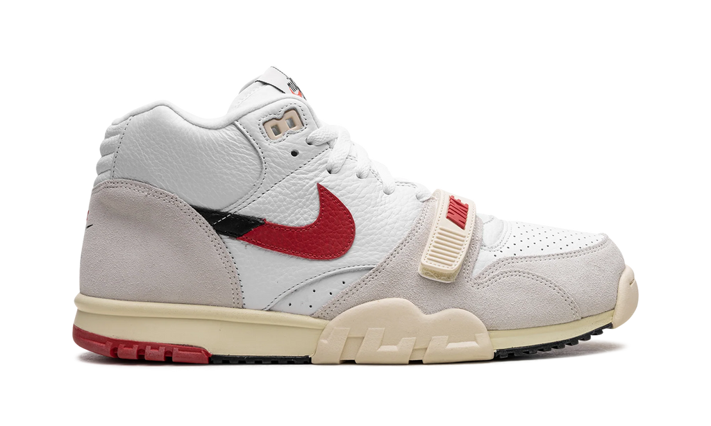 Air Trainer 1 "Split - Chicago" DZ2547 100