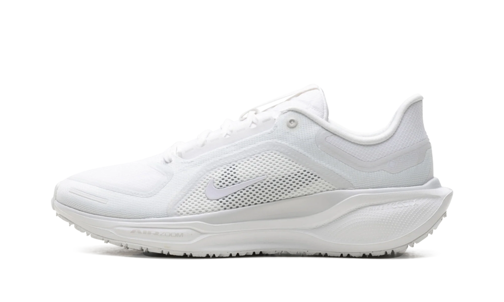 Air Zoom Pegasus 41 "Gore-Tex" FQ1356 101