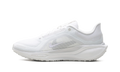 Air Zoom Pegasus 41 "Gore-Tex" FQ1356 101