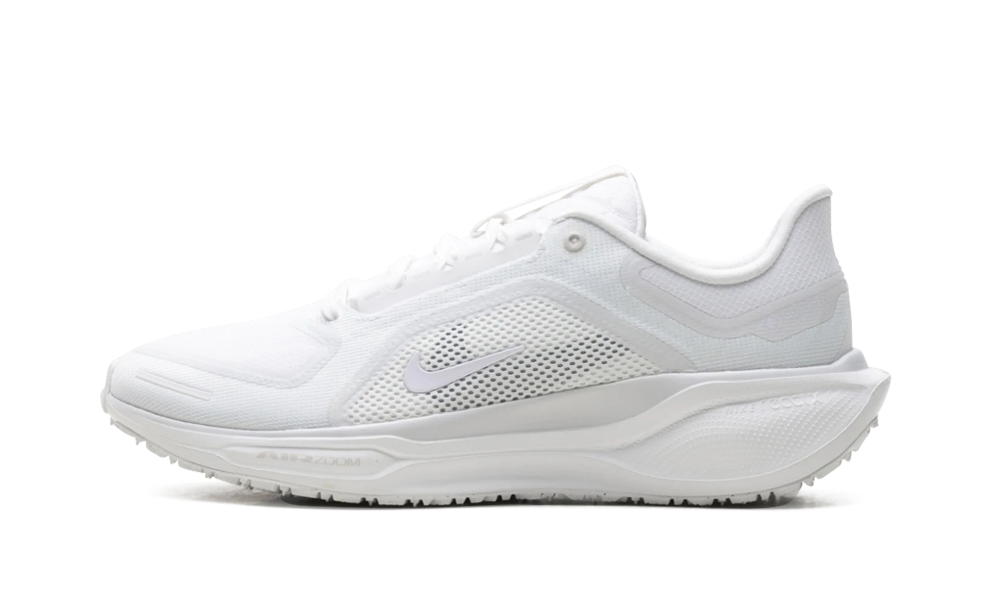 Air Zoom Pegasus 41 "Gore-Tex" FQ1356 101