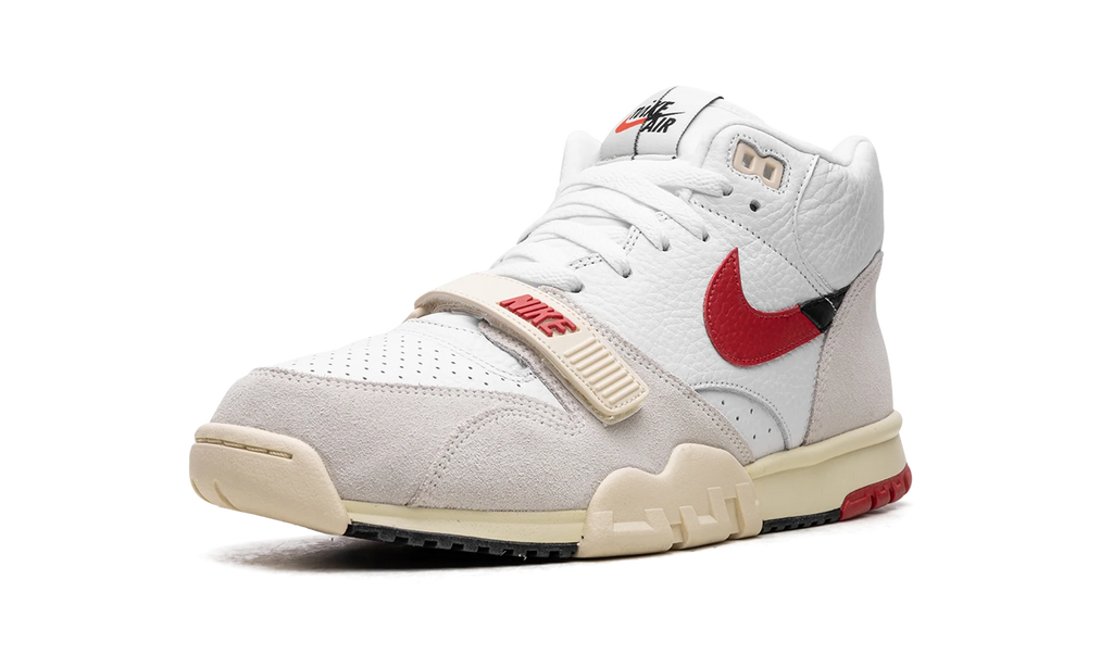 Air Trainer 1 "Split - Chicago" DZ2547 100