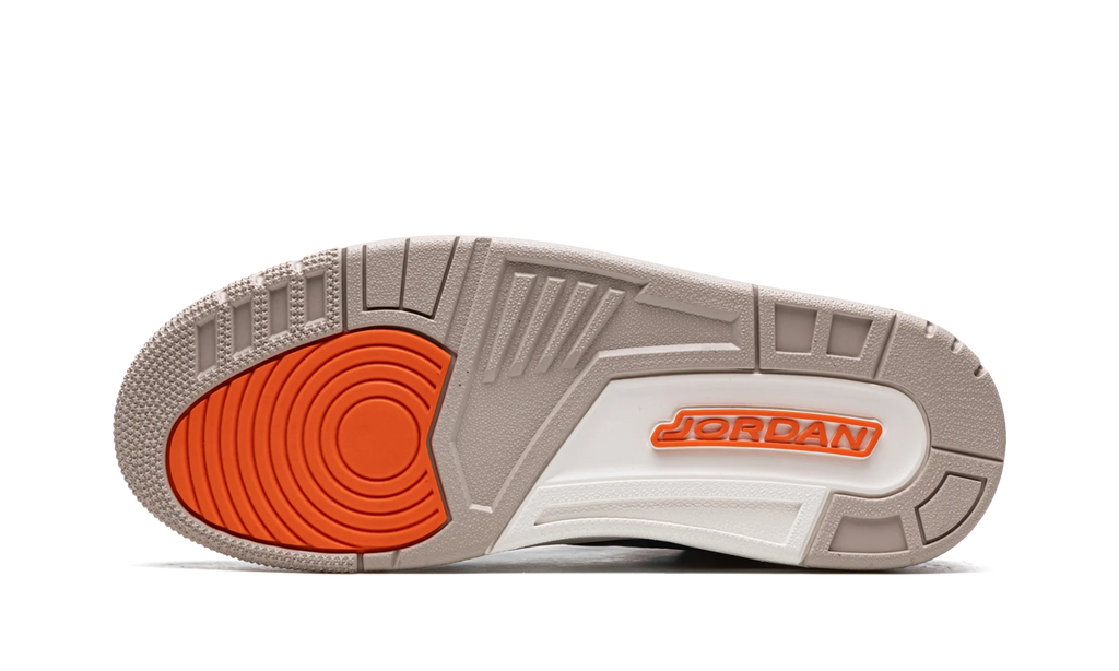 Air Jordan 3 Retro "Desert Elephant" CT8532 008