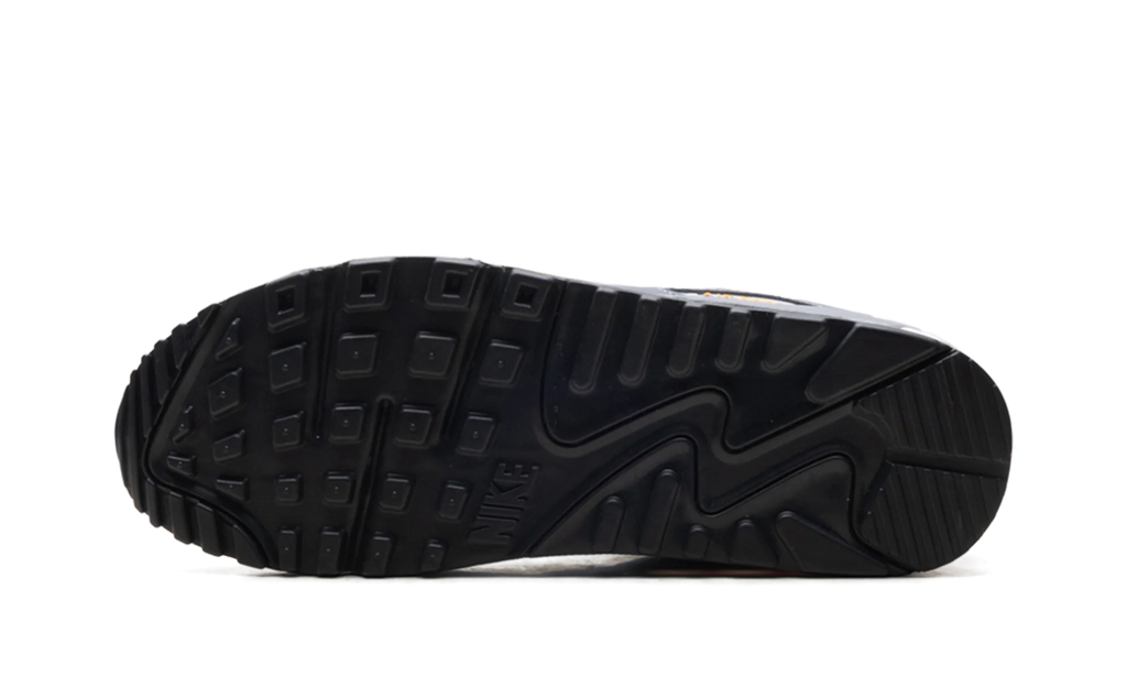 Air Max 90 "Cool Grey Sundial" HV6224 002