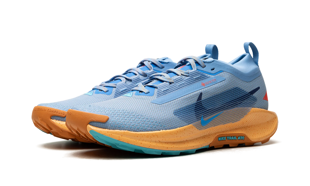 Pegasus Trail 5 Gore-Tex "Blue Beyond" FQ0908 400