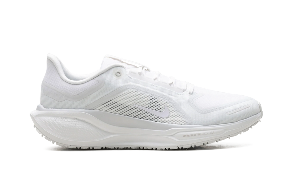Air Zoom Pegasus 41 "Gore-Tex" FQ1356 101