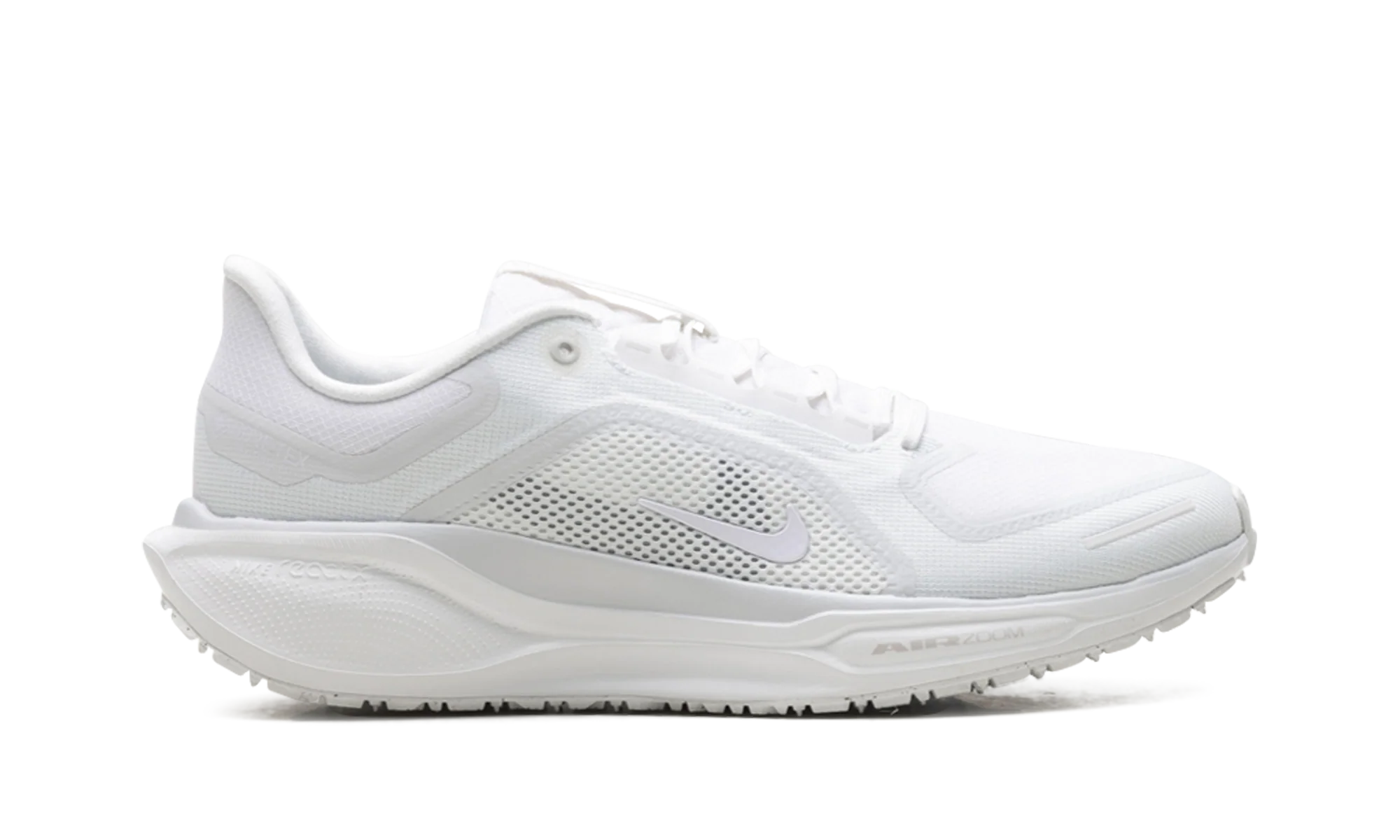 Air Zoom Pegasus 41 "Gore-Tex" FQ1356 101