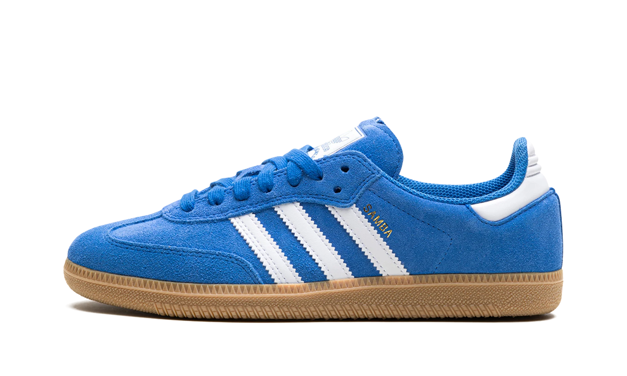 Samba Adv "Blue Bird" JP5719