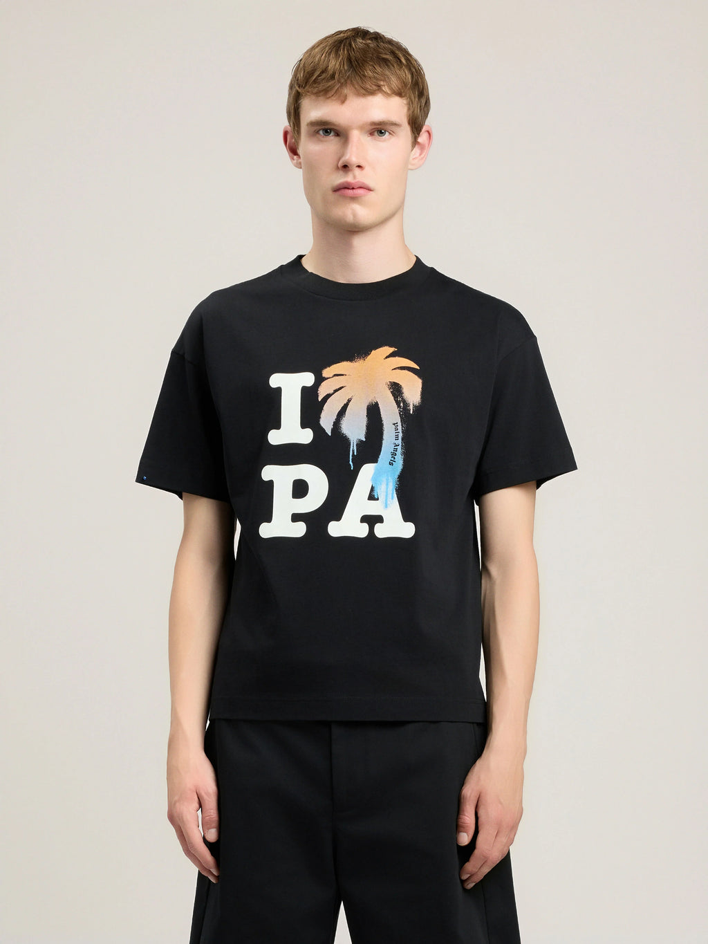 I Love PA T-Shirt