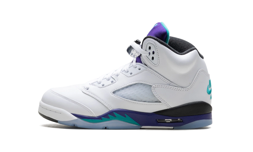 Air Jordan 5 Retro GS "Grape" HQ7980 100