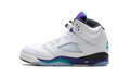 Air Jordan 5 Retro GS "Grape" HQ7980 100