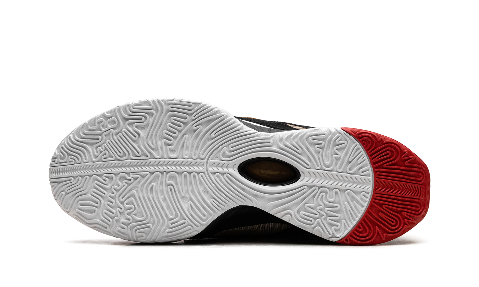 LeBron 21 "Prime 93" HQ3480 001