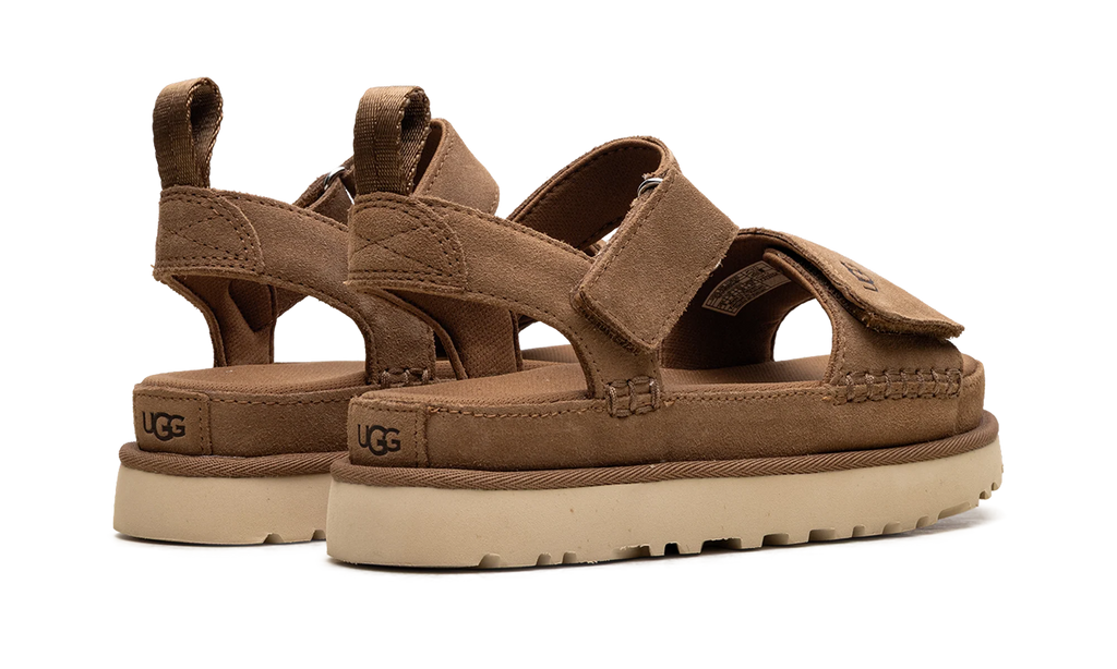 Goldenstar "CHESTNUT" 1136783