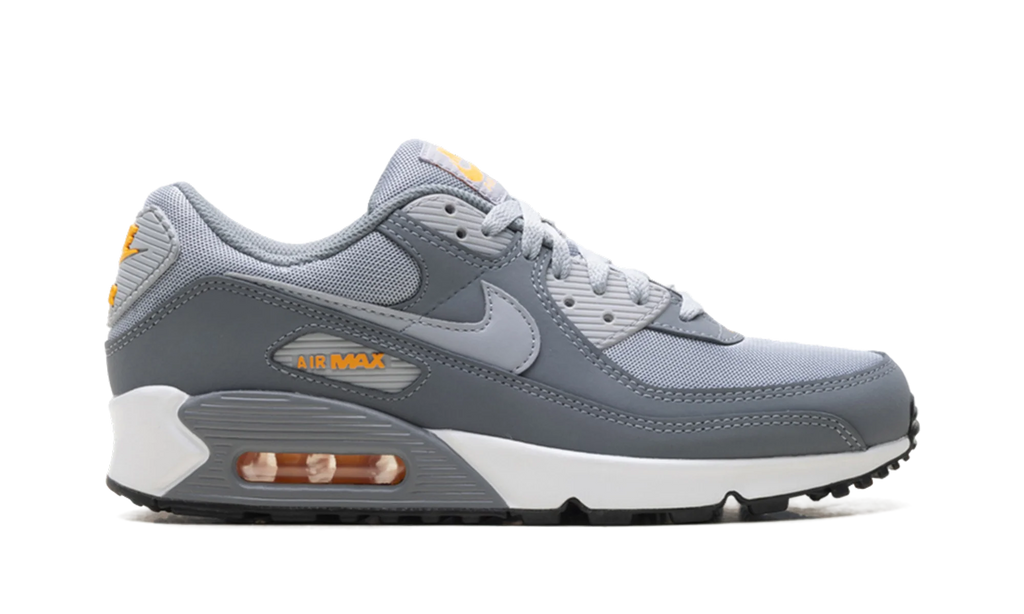 Air Max 90 "Cool Grey Sundial" HV6224 002