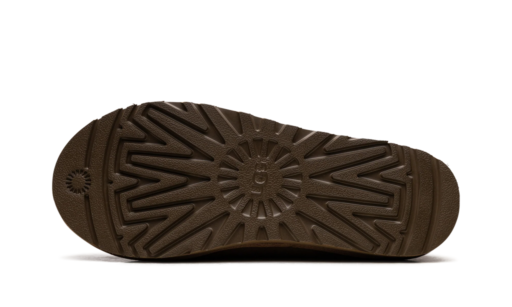 Tasman II "Chestnut" 1174671 CHE