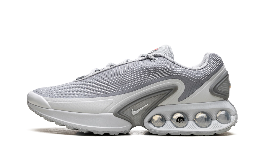 Air Max Dn "Wolf Grey" DV3337 007