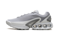 Air Max Dn "Wolf Grey" DV3337 007