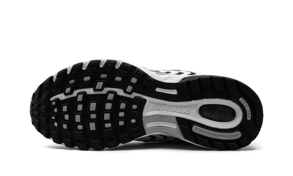 Air Pegasus 2K5 "White / Black" FJ1909 100