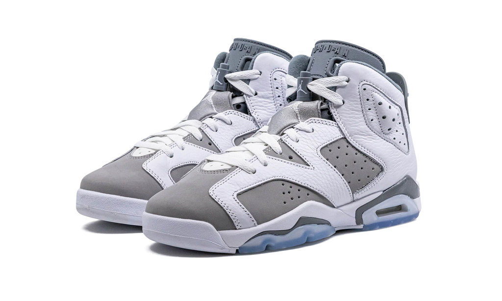Air Jordan 6 GS "Cool Grey" 384665 100