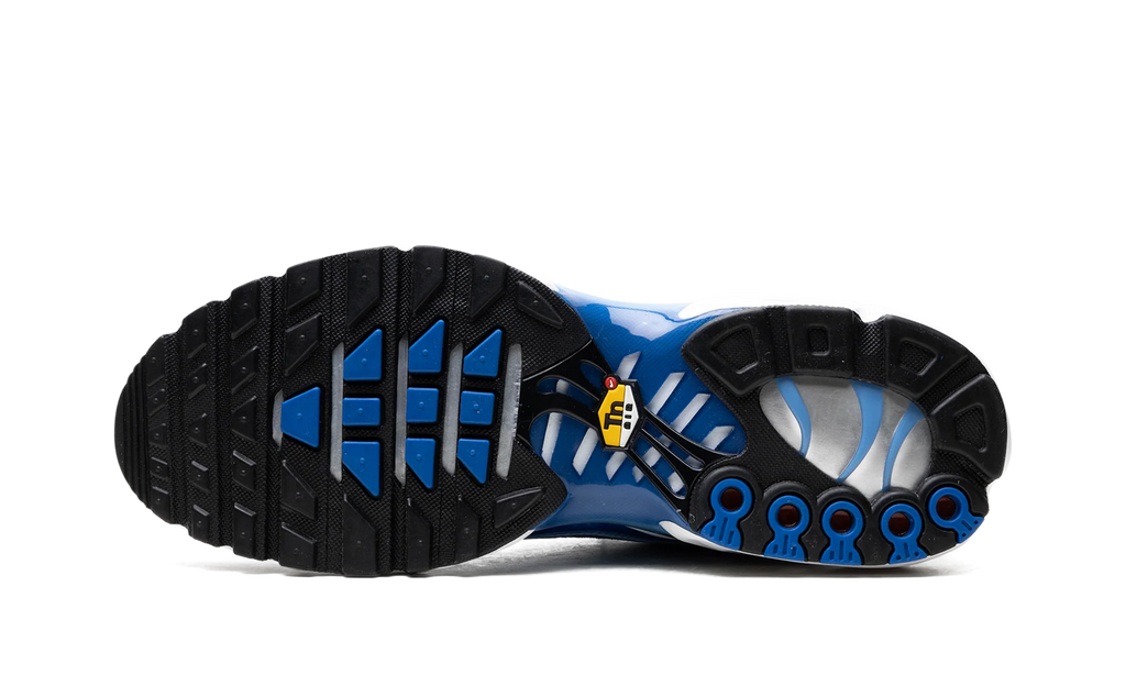 Air Max Plus "Light Streaks" DZ3531 400