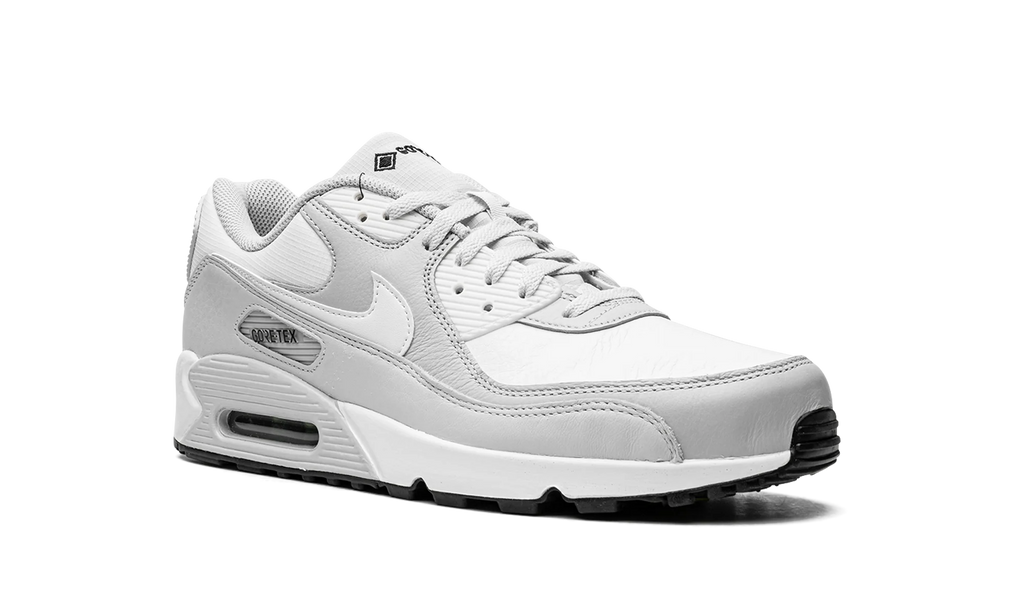 Air Max 90 "Gore-Tex" DJ9779 003
