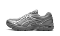 GT-2160 "Gravel / Pure Silver" 1203A764 020