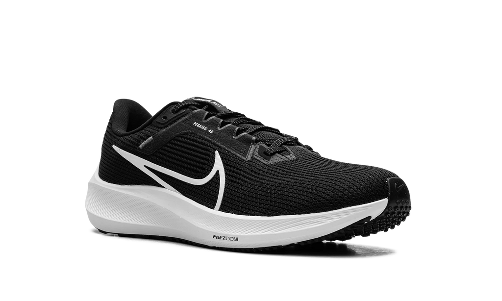 Air Zoom Pegasus 40 "Black White" DV3853 001