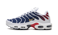 Air Max Plus "PSG" FZ4776 100