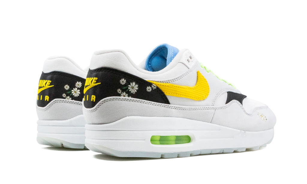 Air Max 1 "Daisy Pack" CW6031 100