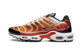Air Max Plus "Light Photography - Sport Red" DZ3531 600