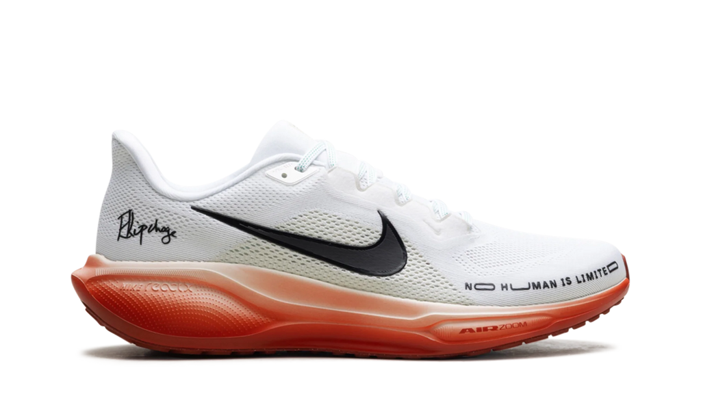Air Zoom Pegasus 41 "Eliud Kipchoge" HJ7037 100