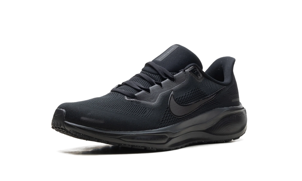 Air Zoom Pegasus 41 "Black Anthracite" FD2722-001