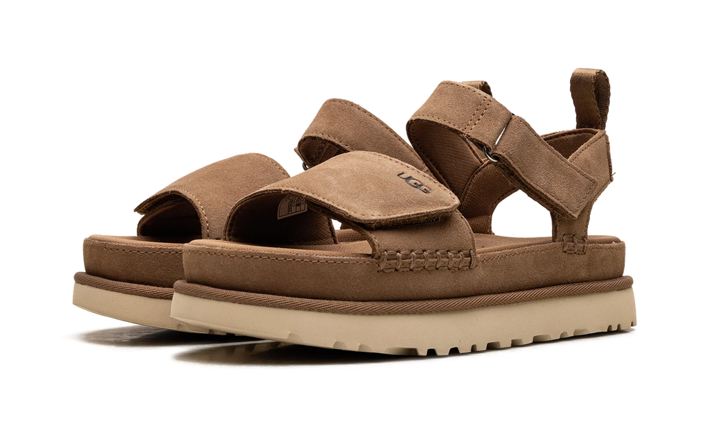 Goldenstar "CHESTNUT" 1136783