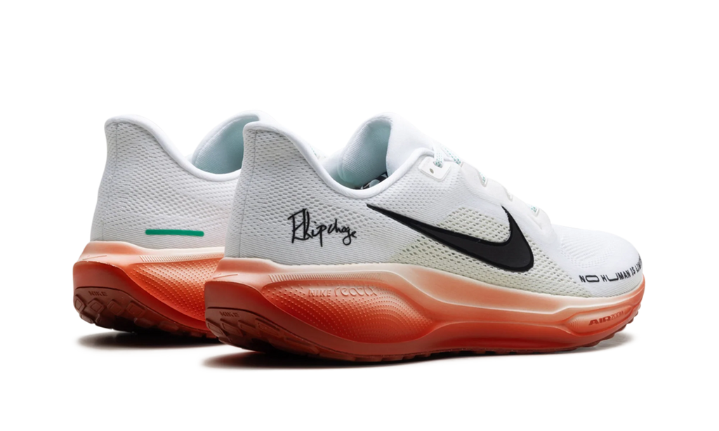 Air Zoom Pegasus 41 "Eliud Kipchoge" HJ7037 100