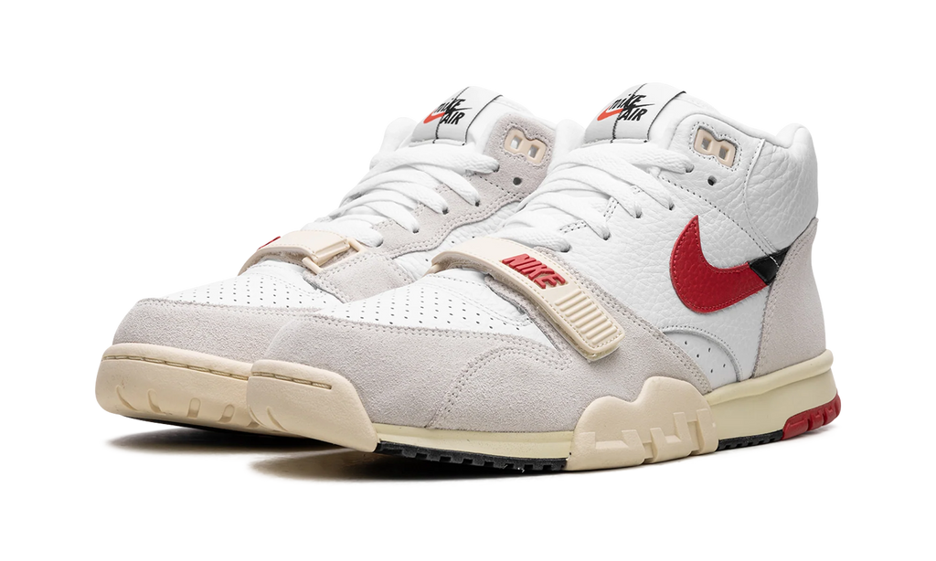 Air Trainer 1 "Split - Chicago" DZ2547 100