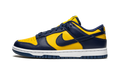 Dunk Low "Michigan" DD1391 700