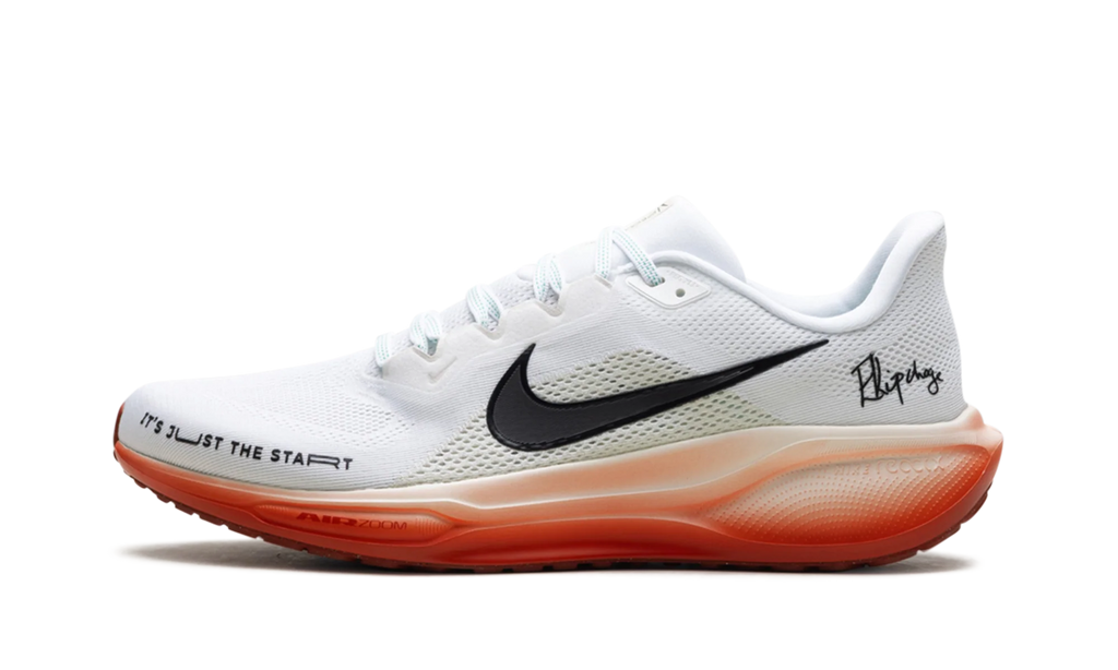 Air Zoom Pegasus 41 "Eliud Kipchoge" HJ7037 100