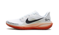 Air Zoom Pegasus 41 "Eliud Kipchoge" HJ7037 100