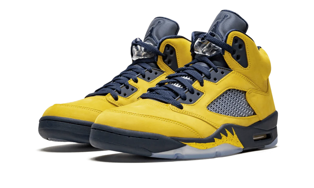 Air Jordan 5 Retro SE "Michigan" CQ9541 704