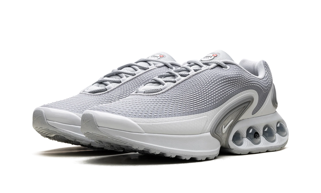 Air Max Dn "Wolf Grey" DV3337 007
