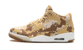 Air Jordan 3 WMNS "Desert Camo" HM4301 200