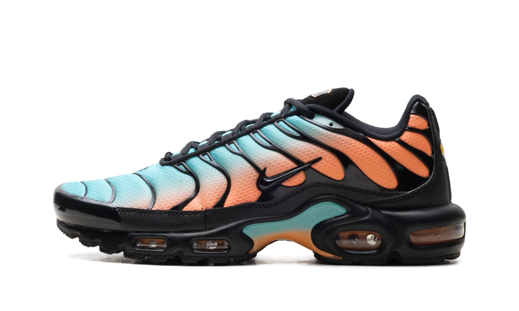 Air Max Plus "South Beach" DM0032 022