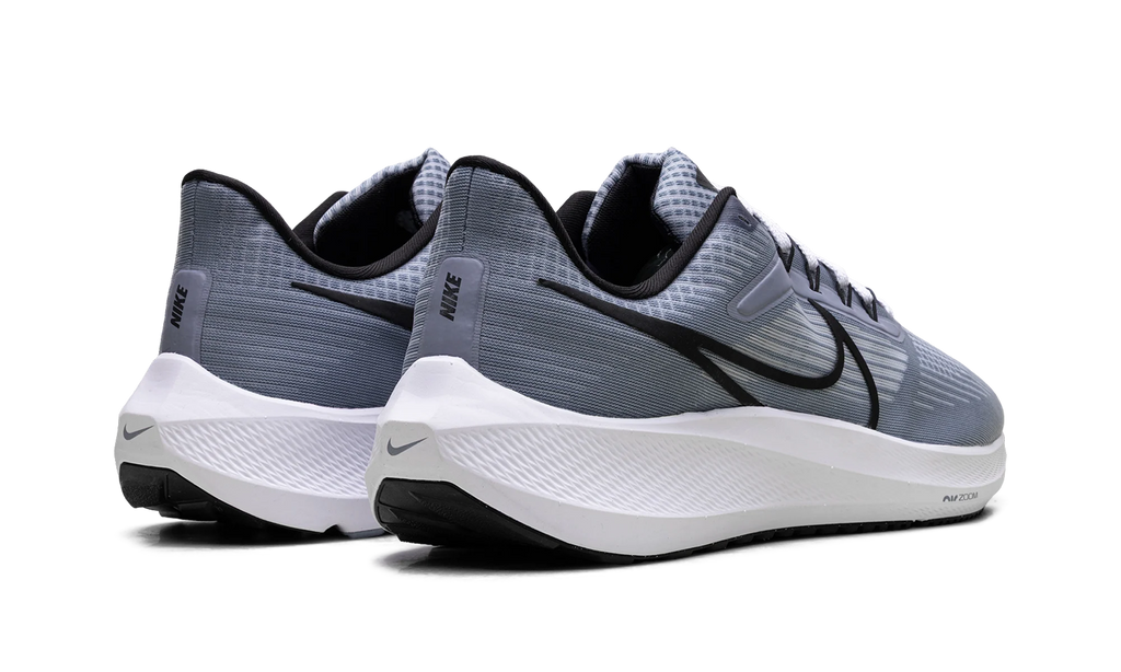 Air Zoom Pegasus 39 "Ashen Slate / Black" DH4071 401