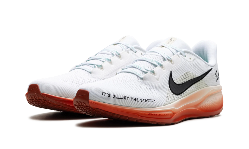 Air Zoom Pegasus 41 "Eliud Kipchoge" HJ7037 100