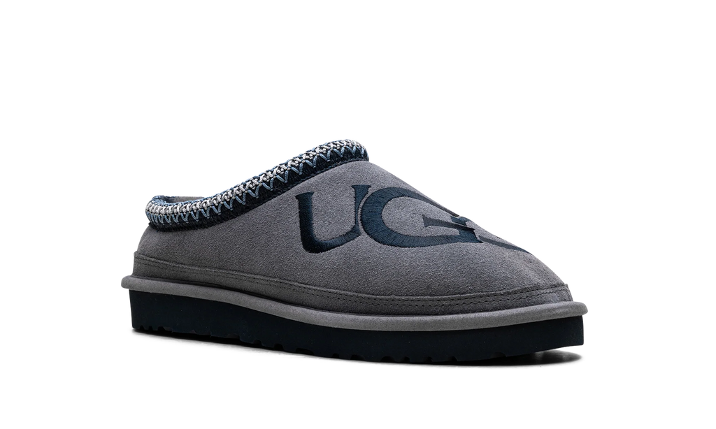 Tasman Logo slippers "Grey" 1112448 MDSP