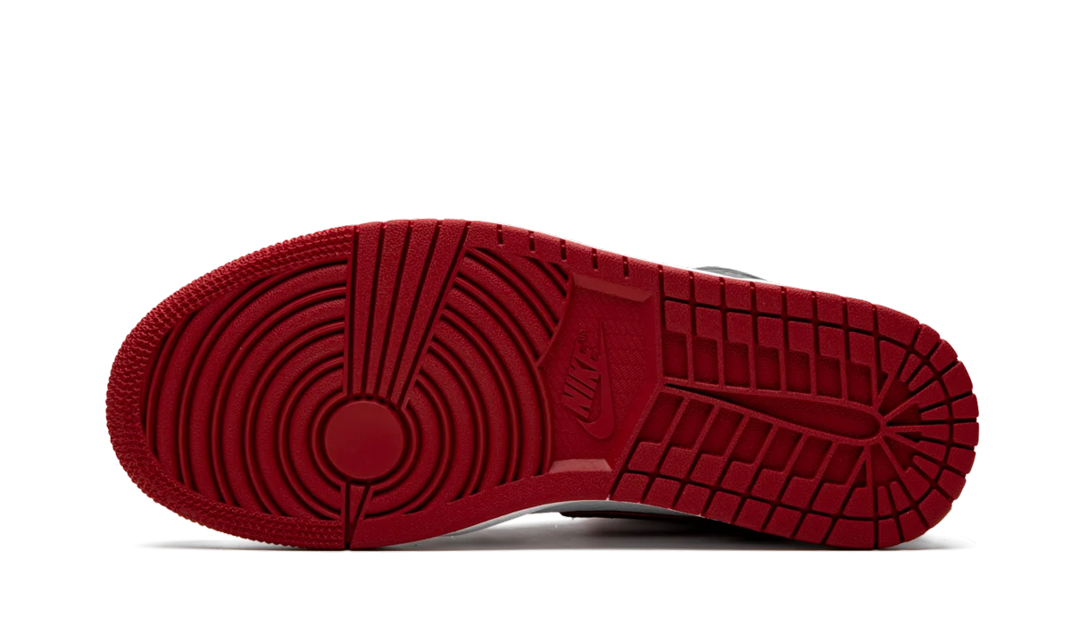 Air Jordan 1 High OG "Bloodline / Meant To Fly" 555088 062
